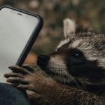 How Technology is Revolutionizing Real Estate Photography