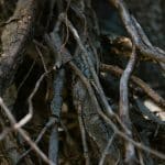 Navigating the Complex World of Property Taxes and Regulations