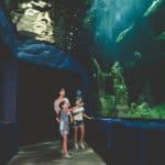 Cultivating Resilience Through Educational Experiences