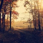 Understanding the Complex Landscape of Real Estate Technology