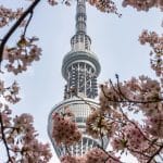 The Rise of Sustainable Architecture in Modern Housing Design