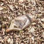 The Role of Advocacy in Shaping Environmental Legal Policies